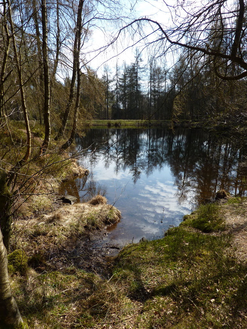 Low Dam Finsthwaite